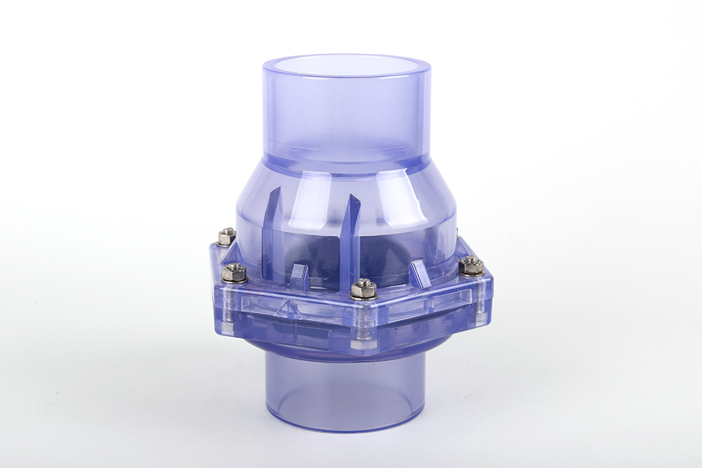 黄冈透明翻板式止回阀